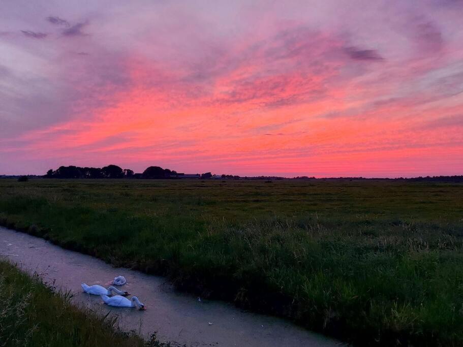 Tiny House "De Veenpolder" De Veenhoop Kültér fotó