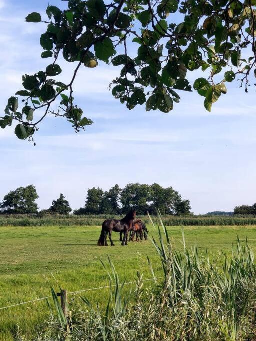 Tiny House "De Veenpolder" De Veenhoop Kültér fotó